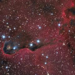 The Elephant’s Trunk Nebula in Cepheus