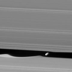 Daphnis the Wavemaker