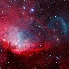 The Tulip and Cygnus X-1