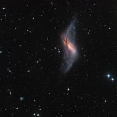 Polar Ring Galaxy NGC 660