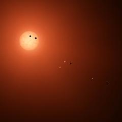 Seven Worlds for TRAPPIST 1