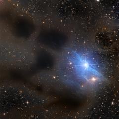 Reflections on vdB 31