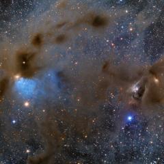 Young Stars and Dusty Nebulae in Taurus
