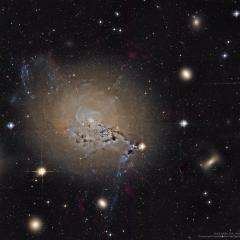 Filaments of Active Galaxy NGC 1275