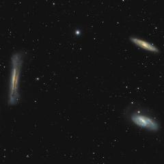 Leo Trio