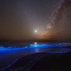Night Glows