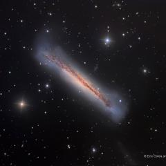 NGC 3628: The Hamburger Galaxy