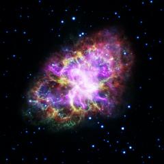 The Multiwavelength Crab