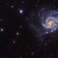 A View Toward M101