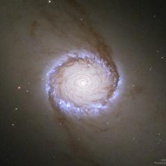 Spiral Galaxy NGC 1512: The Nuclear Ring