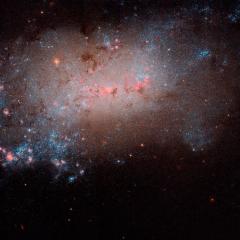 NGC 4449: Close up of a Small Galaxy