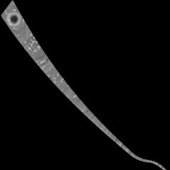 Noodle Mosaic of Saturn