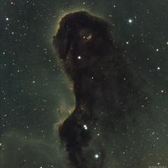 The Dust Monster in IC 1396