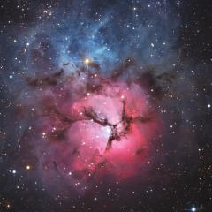 A Beautiful Trifid
