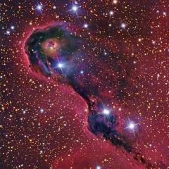An Elephant’s Trunk in Cepheus