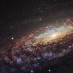 NGC 7331 Close-Up