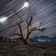 Bow Tie Moon and Star Trails