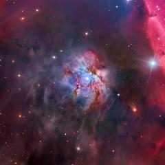NGC 2023 in the Horsehead’s Shadow