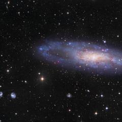 NGC 247 and Friends