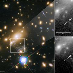 Fortuitous Flash Candidate for the Farthest Star Yet Seen