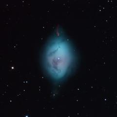 NGC 1360: The Robin’s Egg Nebula