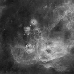 The Gum Nebula Expanse