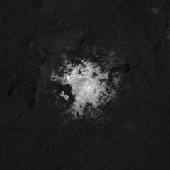 Cerealia Facula