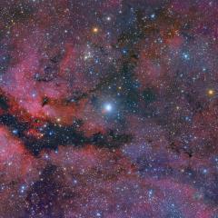Central Cygnus Skyscape