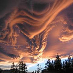 Asperitas Clouds Over New Zealand