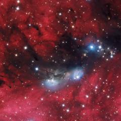 The NGC 6914 Complex