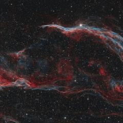 Along the Western Veil