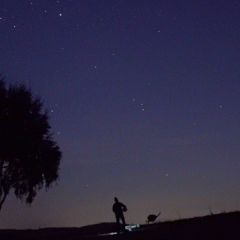 Real Time Perseid