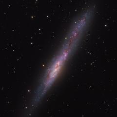 Irregular Galaxy NGC 55