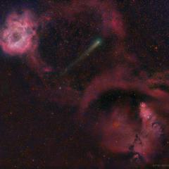 Comet 21P Between Rosette and Cone Nebulas