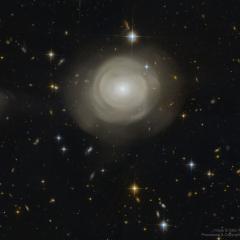 Shells of Stars in Elliptical Galaxy PGC 42871