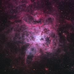 The Tarantula Nebula