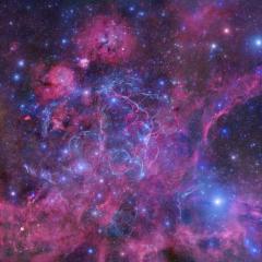 Vela Supernova Remnant Mosaic