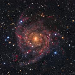 IC 342: The Hidden Galaxy