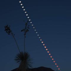 Total Lunar Eclipse at Moonset