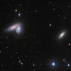 Twin Galaxies in Virgo