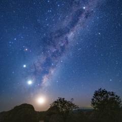 Moon, Four Planets, and Emu