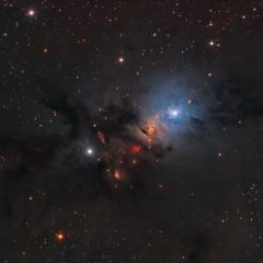 NGC 1333: Stellar Nursery in Perseus