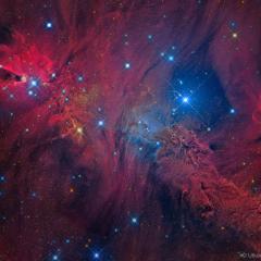 In the Vicinity of the Cone Nebula