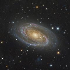 Messier 81