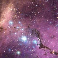 N11: Star Clouds of the LMC