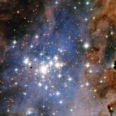 Young Star Cluster Trumpler 14 from Hubble