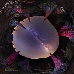Planet of the Tajinastes