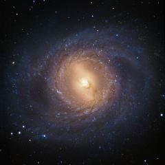 M95: Spiral Galaxy with an Inner Ring