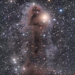 Lynds Dark Nebula 1251