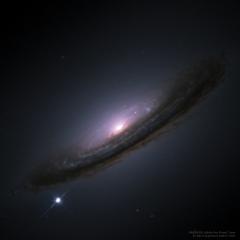 Rumors of a Dark Universe